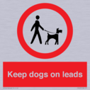 dogs-on-lead-symbol-with-black-text-on-white-background~